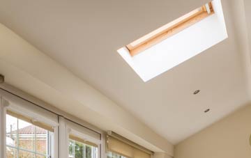 Hallyne conservatory roof insulation companies