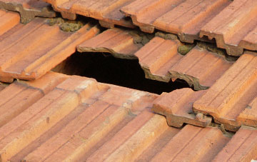 roof repair Hallyne, Scottish Borders
