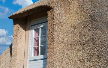 Hallyne thatch roof disadvantages