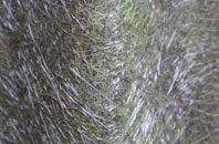 Hallyne fibreglass roof work