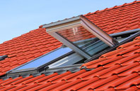 Hallyne roof window
