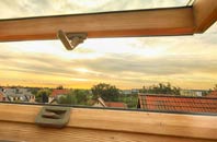 rated Hallyne roof window companies